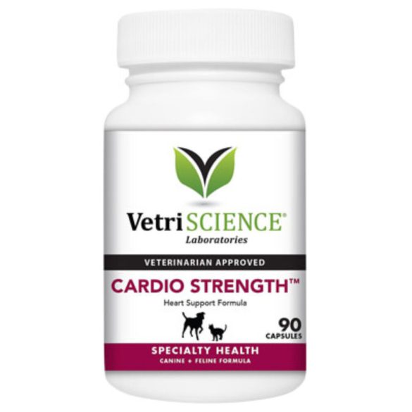 vetri-cardio-strength