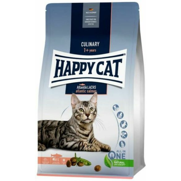 happy-cat-culinary-adult-lazac