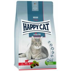 happy-cat-indoor-marha