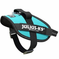 julius-K9-idc-powerham-felirattal-mini-mini-aquamarine