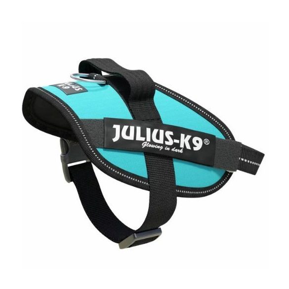 julius-K9-idc-powerham-felirattal-mini-mini-aquamarine