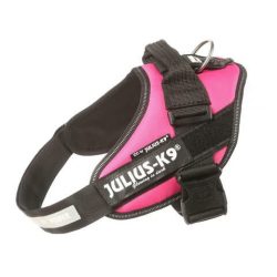 julius-k9-idc-powerhám-felirattal-baby-1-pink