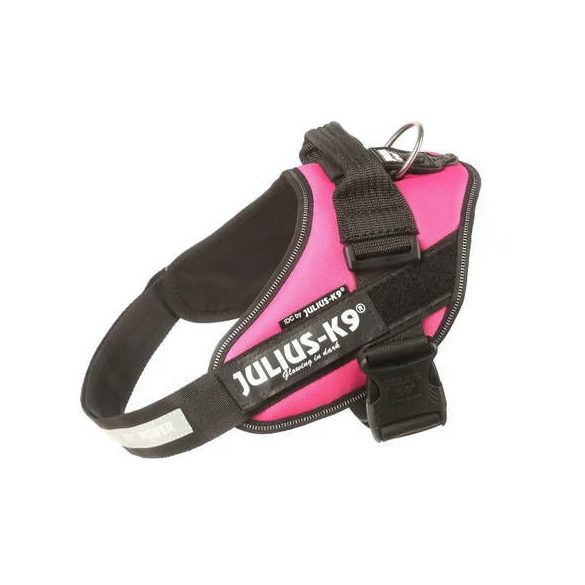 julius-k9-idc-powerhám-felirattal-baby-1-pink