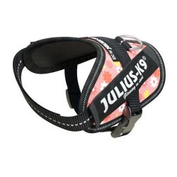 julius-k9-idc-powerhám-felirattal-baby-1-pink-virag