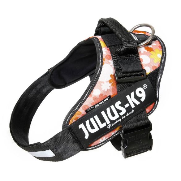 Julius-K9 IDC Powerhám, felirattal, Baby 2 "Rózsaszínen virágok"