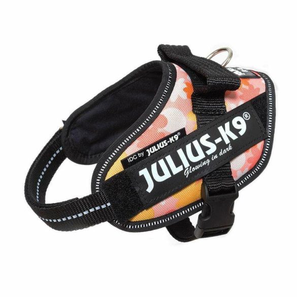 Julius-K9 IDC Powerhám, felirattal, Mini-Mini Rózsaszínen virágok