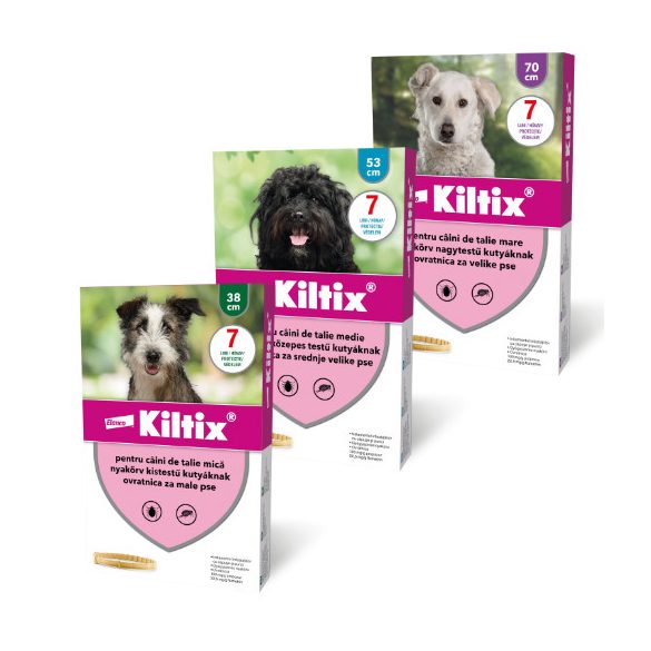 Kiltix_kullancs_bolhanyakorv