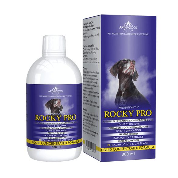 rocky-pro-all